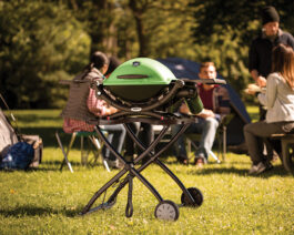 Q 1200 Gas Grill - Green on the portable stand by a picnic.