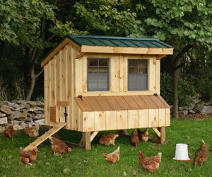 Quaker Chicken Coop