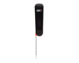 6753 Snapcheck Digital Thermometer 2