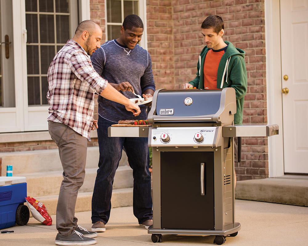 Spirit E 210 Gas Grill Green Acres Outdoor Living