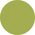 Leisure Lawn Poly Color Lime Green.