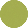 Leisure Lawn Poly Color Lime Green.