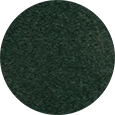 Sonrise Poly Color Turf Green.