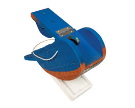 Blue Bird Wood Bird Feeder Open.
