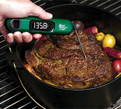 Big Green Egg Thermometers.