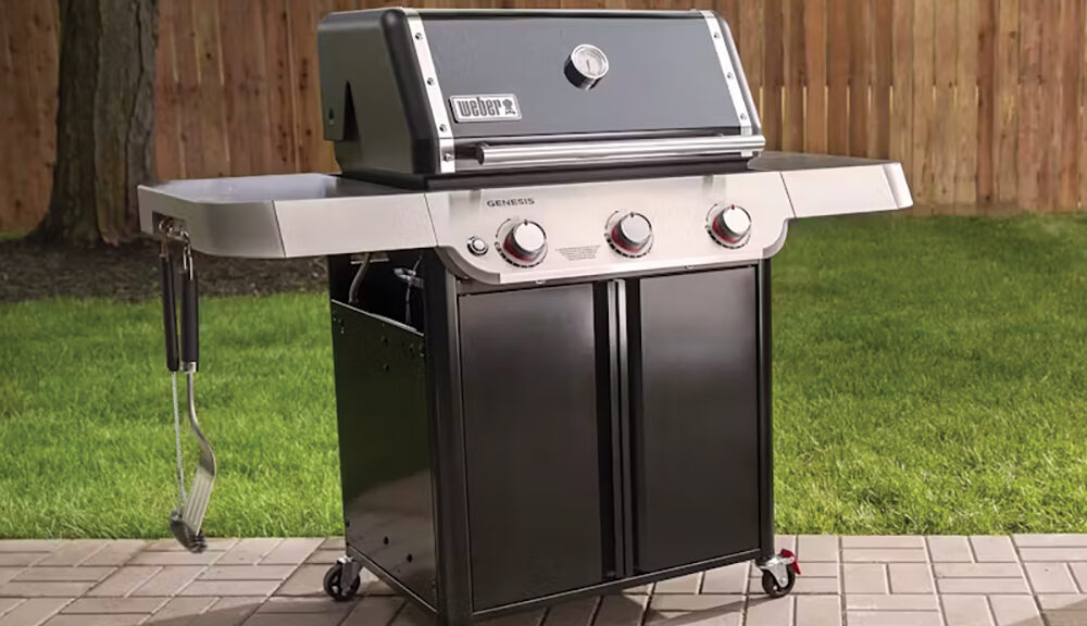 Genesis E-315 Grill.