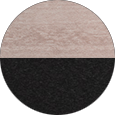 Poly Color Sample Seashell on Black.