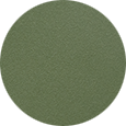 BG Aluminum Color Sample Green Sage.