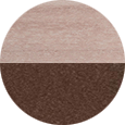 Seashell on Brown.