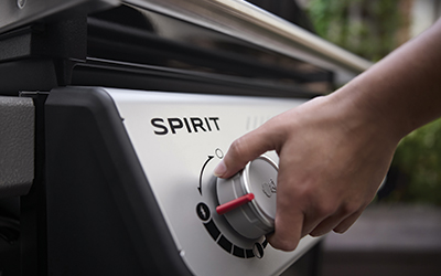 Spirit 2025 Knobs.