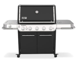 Summit FS38 E Grill.