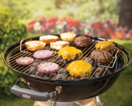 Weber 22