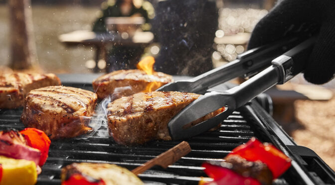 Traveler Compact Portable Gas Grill.