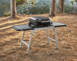 Weber Slate 17
