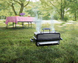 Weber Portable Charcoal Grill | Green Acres Outdoor Living