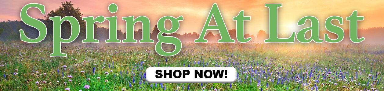 PA_Spring At Last_Main Slider_desktop Spring At Last.