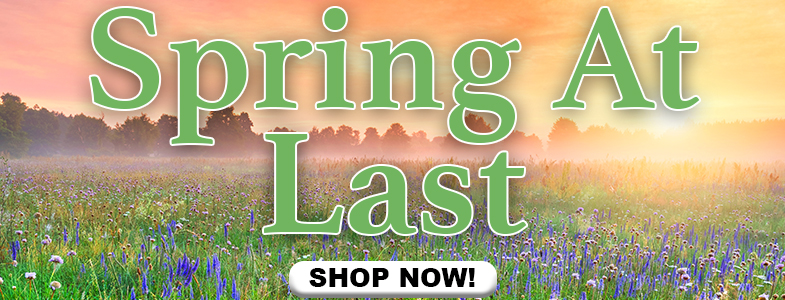 PA_Swing into Spring_Main Slider_mobile Spring At Last.