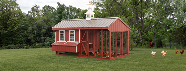 classic a-frame chicken coop