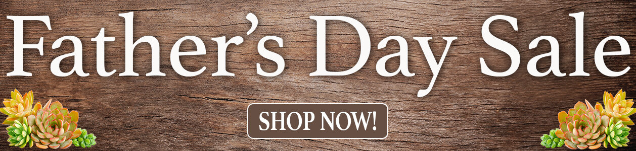 PA_Father's Day_Main Slider_desktop